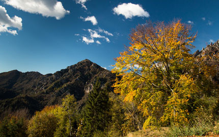 Passo Nota
